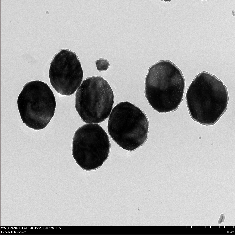 氧化鋅納米顆粒