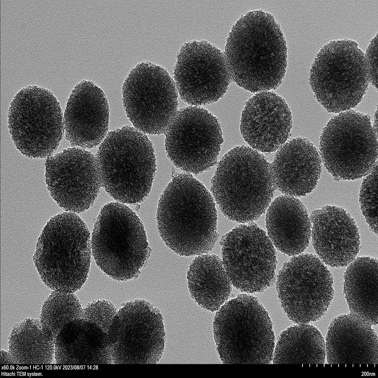 中孔介孔二氧化硅
