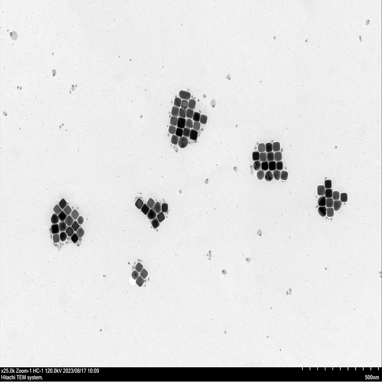 銀納米立方(CTAC包覆)