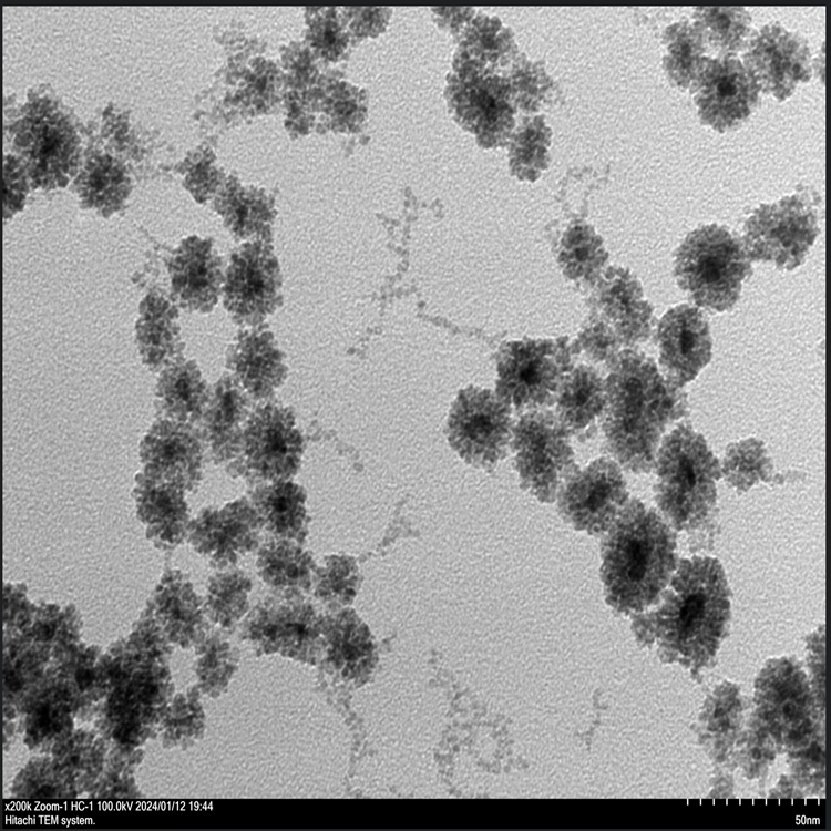二氧化鈰包裹金納米顆粒