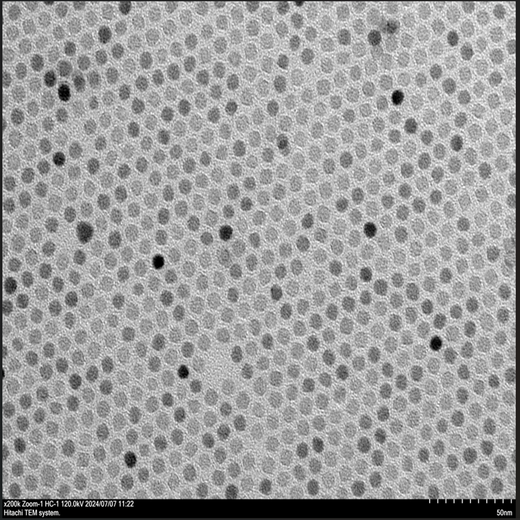 氨基磁性納米顆粒（APTES修飾）（5-50nm）可選